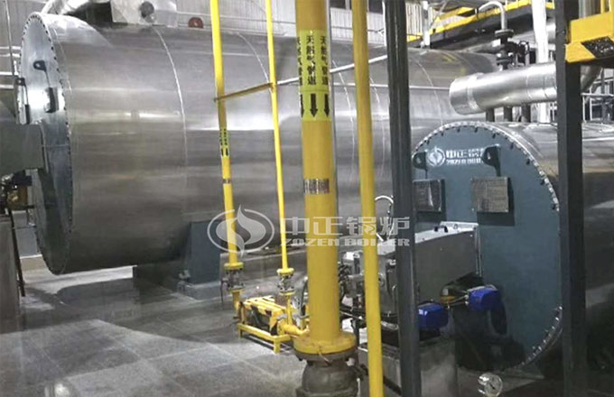 江苏江阴500万大卡导热油锅炉项目