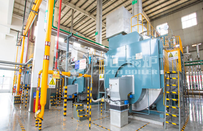 山东莱阳1200万大卡导热油锅炉项目