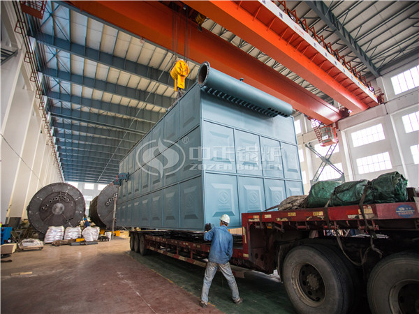 250万大卡燃煤/生物质卧式导热油锅炉