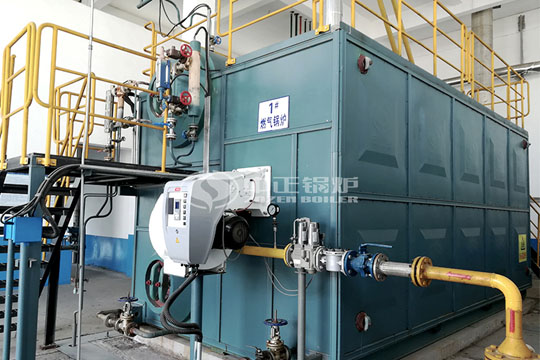 四川省简阳市25吨和20吨燃气蒸汽锅炉项目