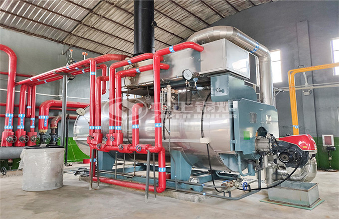 浙江省6吨和10吨燃气蒸汽锅炉项目