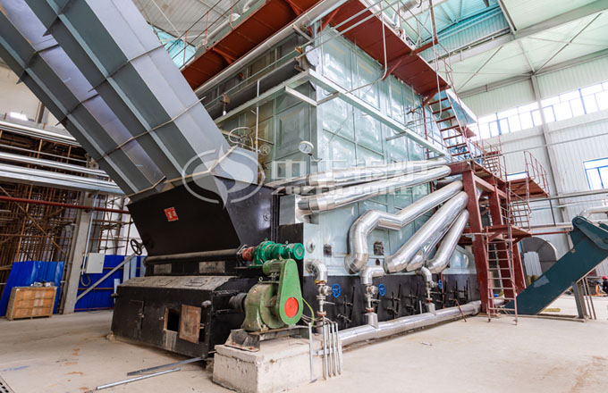 吉林长春25吨燃煤链条炉排蒸汽锅炉项目